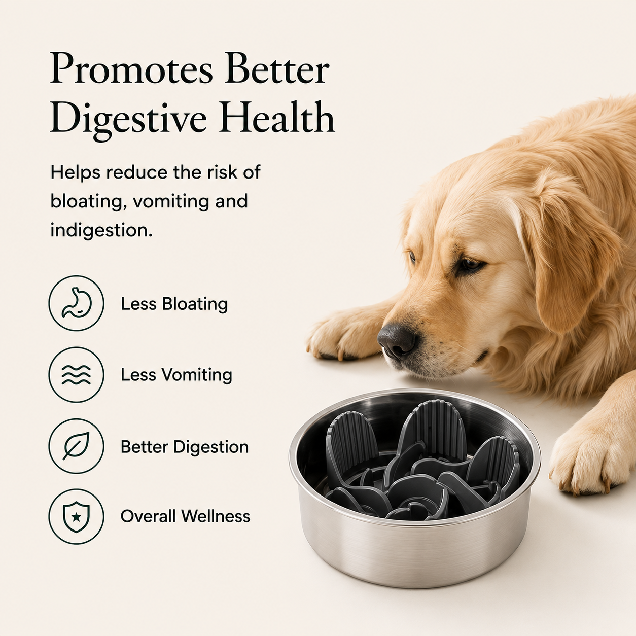 Premium Stainless Steel Slow Feeder Dog Bowl