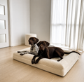 Orthopedic Memory Foam Dog Bed