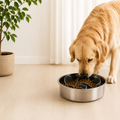 Premium Stainless Steel Slow Feeder Dog Bowl