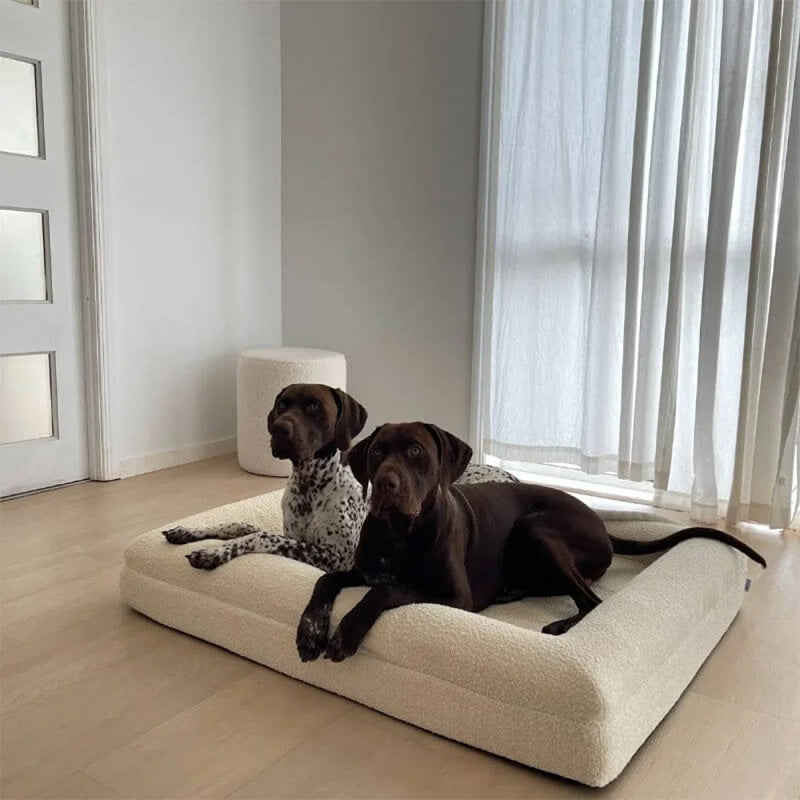 Premium orthopedic memory foam dog bed for comfortable rest